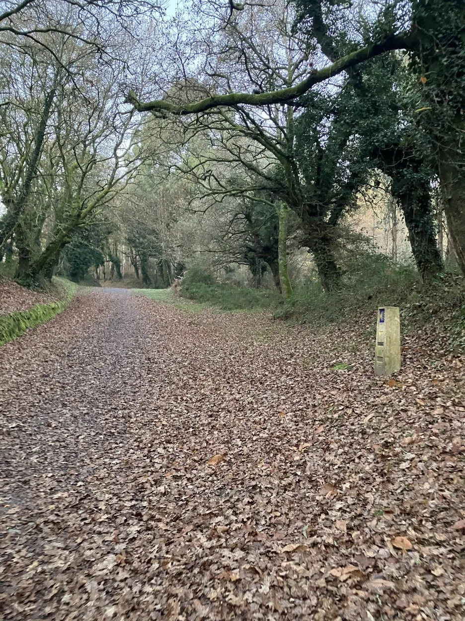 IMG_9122.jpg?type=w1