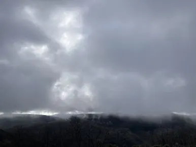 IMG_6964.jpg?type=w386