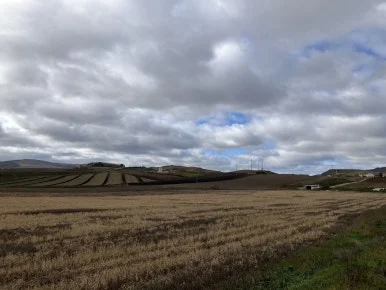 IMG_3389.jpg?type=w386