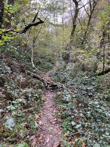 IMG_1963.jpg?type=w386