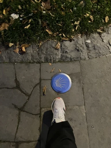 IMG_2260.jpg?type=w386