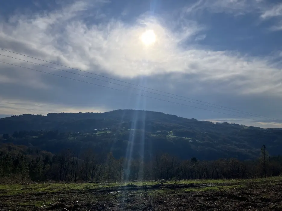 IMG_8643_2.jpg?type=w1