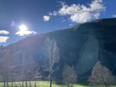 IMG_7699.jpg?type=w386