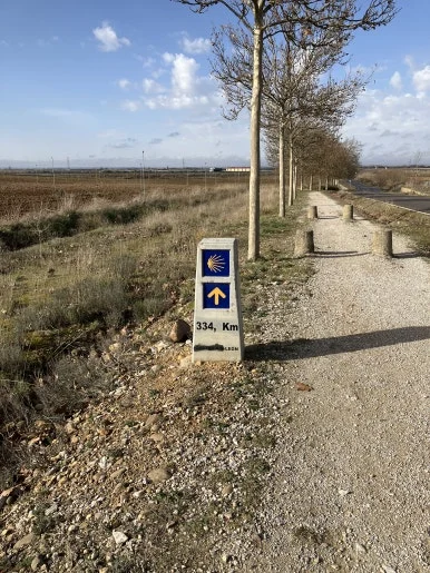 IMG_5426.jpg?type=w386