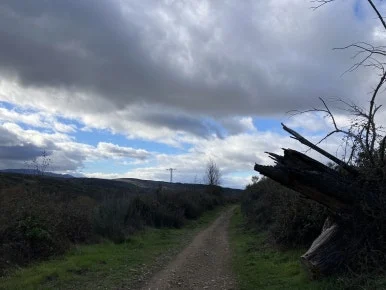 IMG_7090.jpg?type=w386