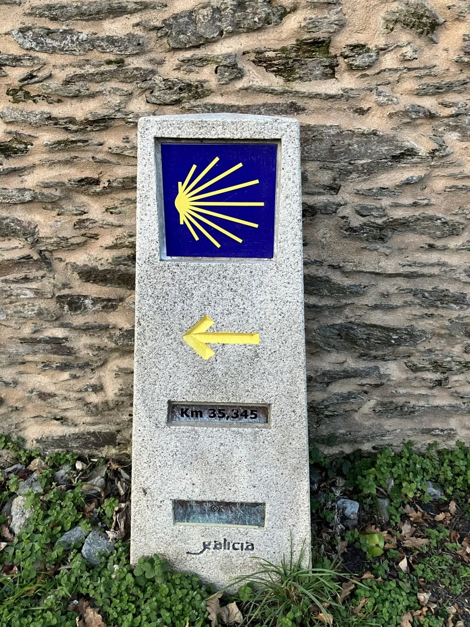 IMG_9432.jpg?type=w1