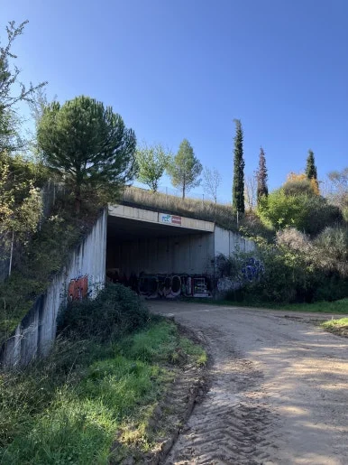 IMG_2475.jpg?type=w386