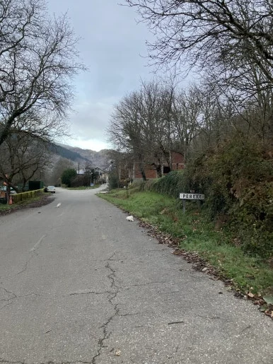 IMG_7614.jpg?type=w386