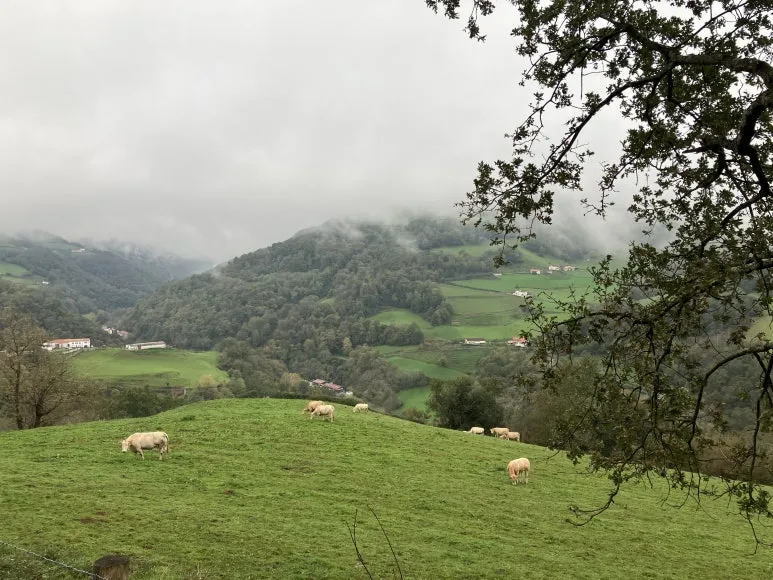 IMG_1911.jpg?type=w773