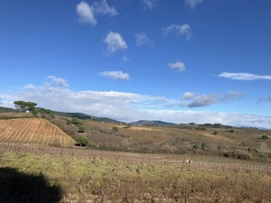 IMG_7539.jpg?type=w386