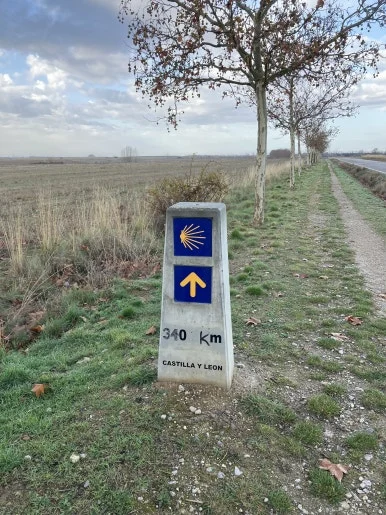 IMG_5392.jpg?type=w386