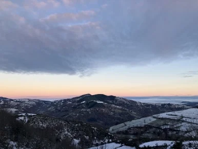 IMG_7936.jpg?type=w386