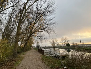 IMG_4754.jpg?type=w386