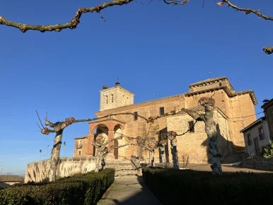 IMG_4805.jpg?type=w386