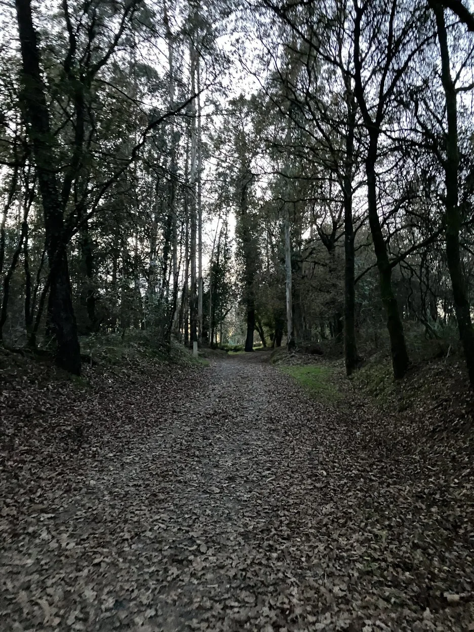 IMG_9443.jpg?type=w1