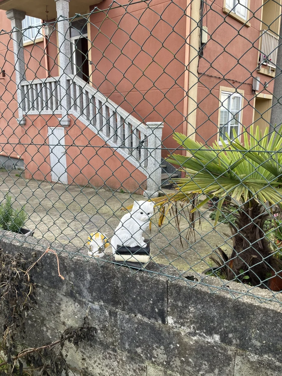 IMG_9737.jpg?type=w1