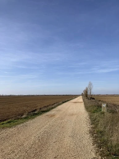 IMG_4947.jpg?type=w386