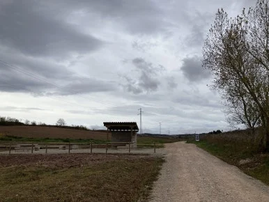 IMG_3168.jpg?type=w386