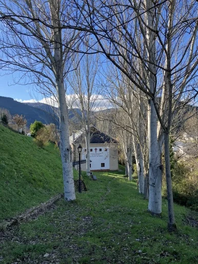 IMG_7555.jpg?type=w386