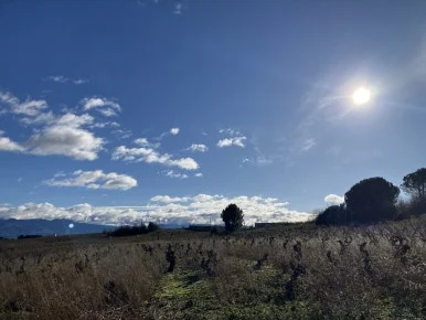 IMG_7537.jpg?type=w386