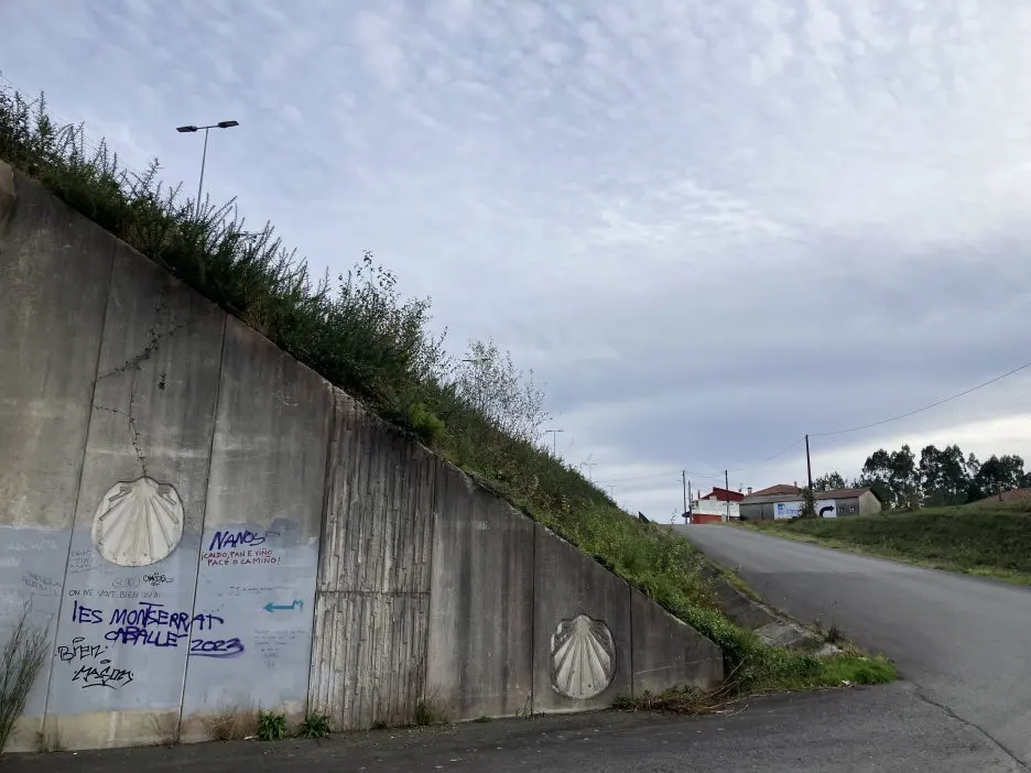 IMG_9725.jpg?type=w1