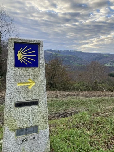 IMG_8215.jpg?type=w386