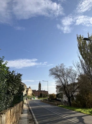 IMG_2686.jpg?type=w386