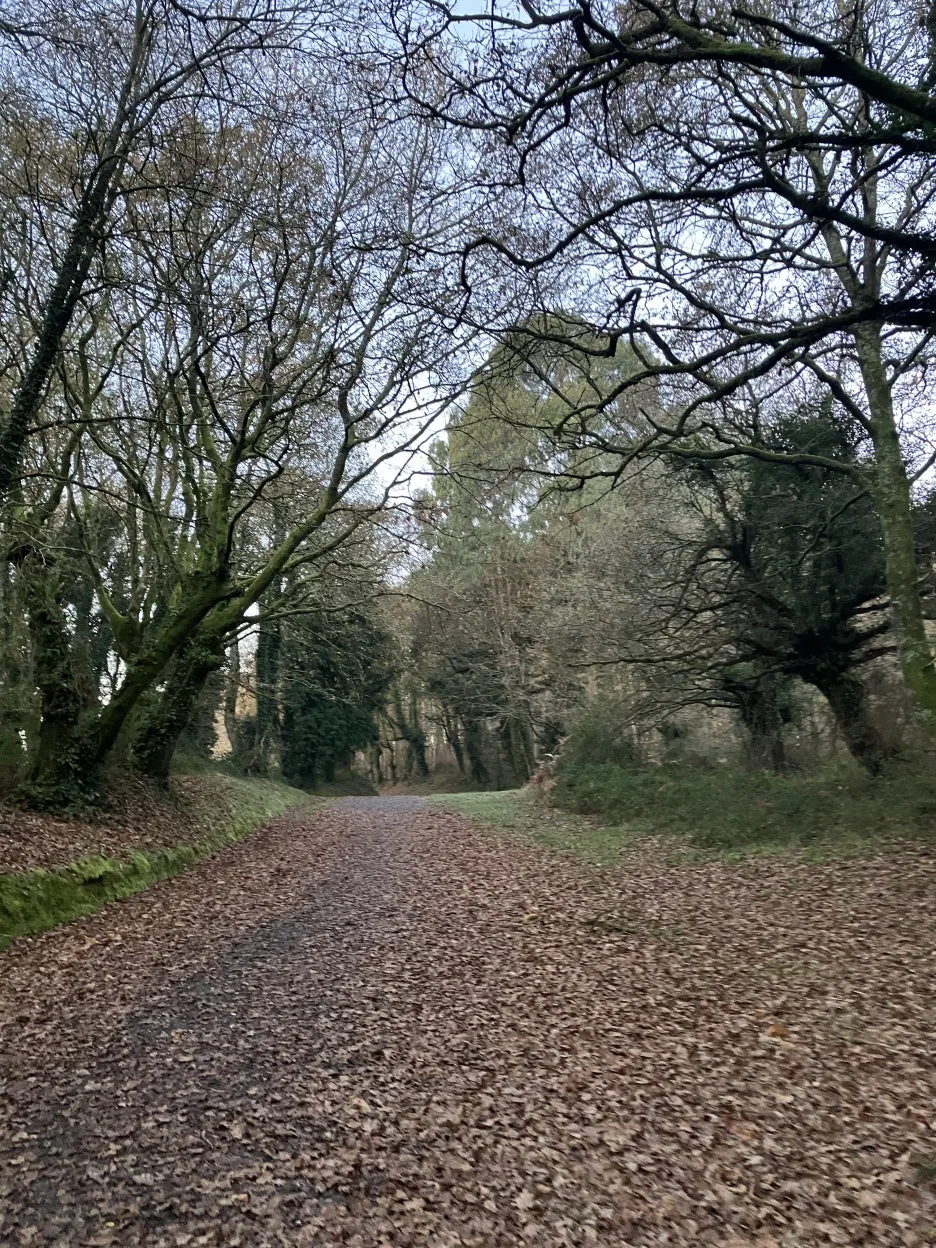 IMG_9124.jpg?type=w1