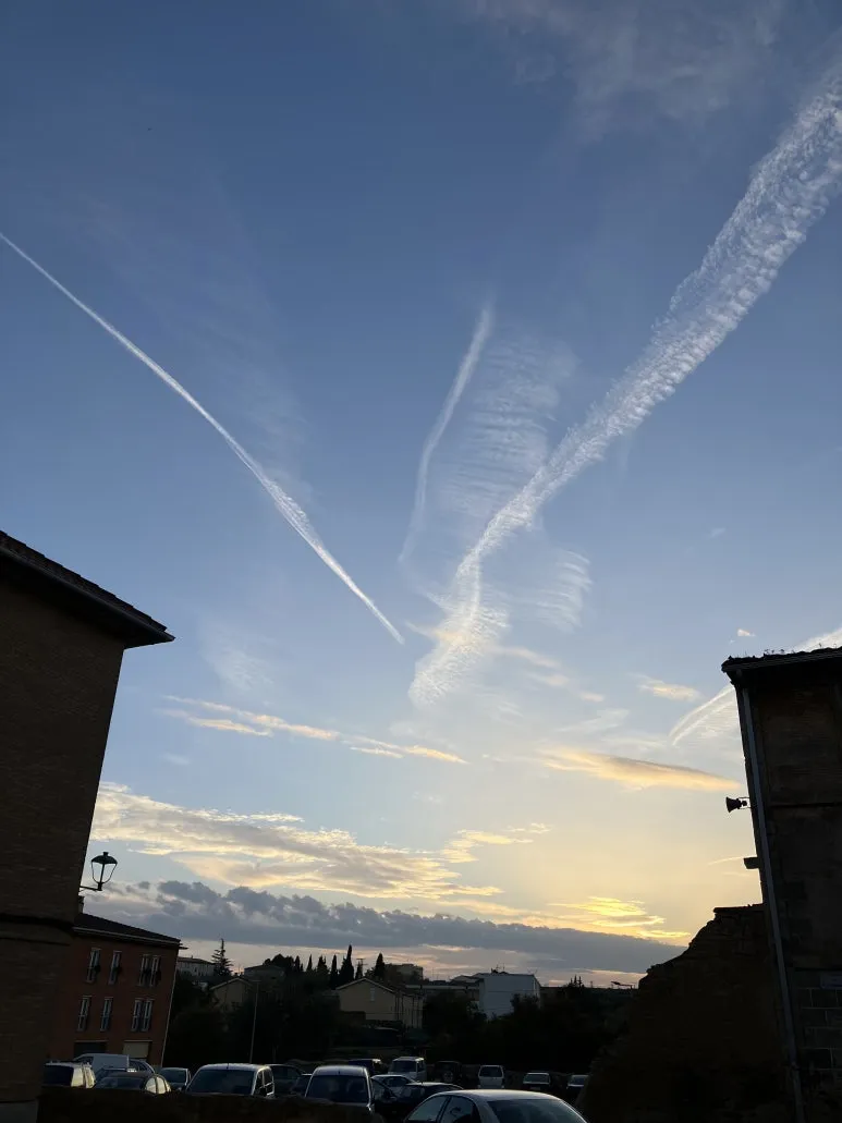 IMG_2700.jpg?type=w773