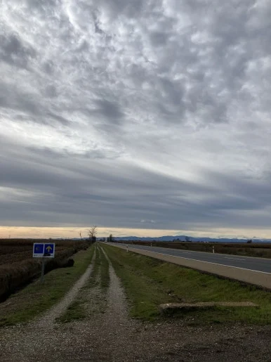 IMG_6175.jpg?type=w386