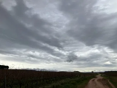 IMG_3146.jpg?type=w386