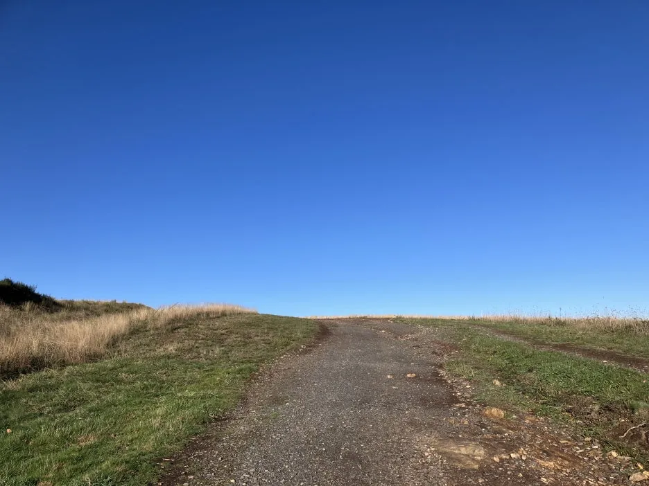 IMG_8875.jpg?type=w1