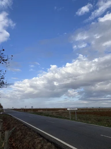 IMG_5385.jpg?type=w386