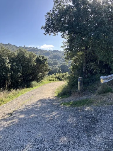 IMG_2479.jpg?type=w386