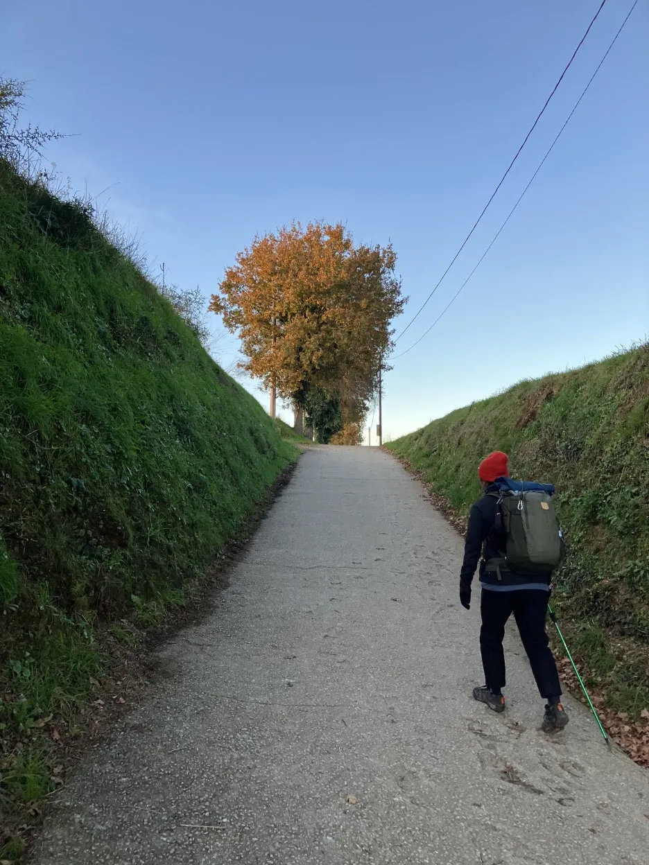 IMG_9427.jpg?type=w1