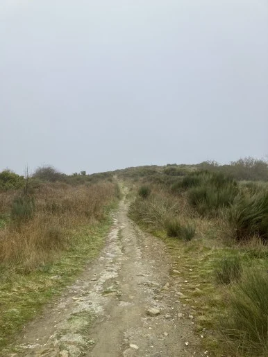 IMG_6884.jpg?type=w386