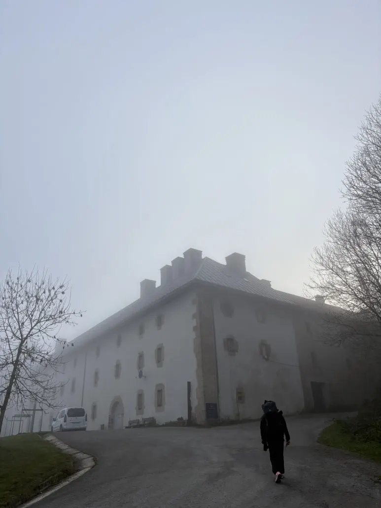 IMG_2674.jpg?type=w773