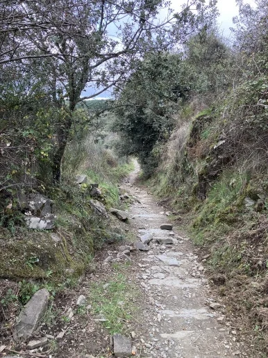 IMG_7130.jpg?type=w386