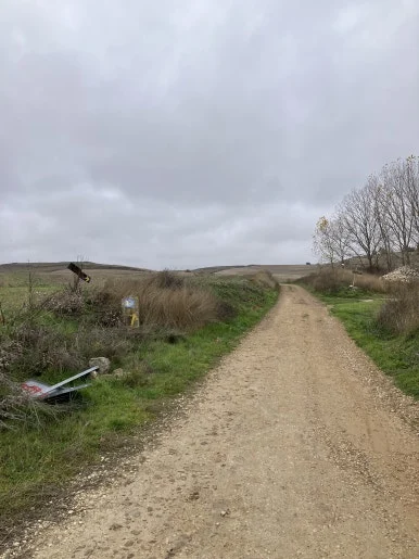 IMG_4504_2.jpg?type=w386