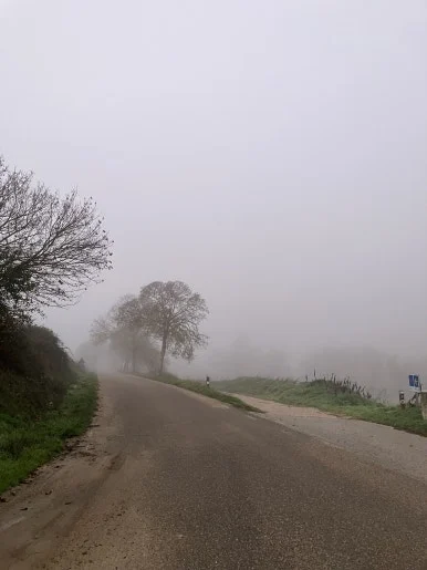 IMG_4589.jpg?type=w386