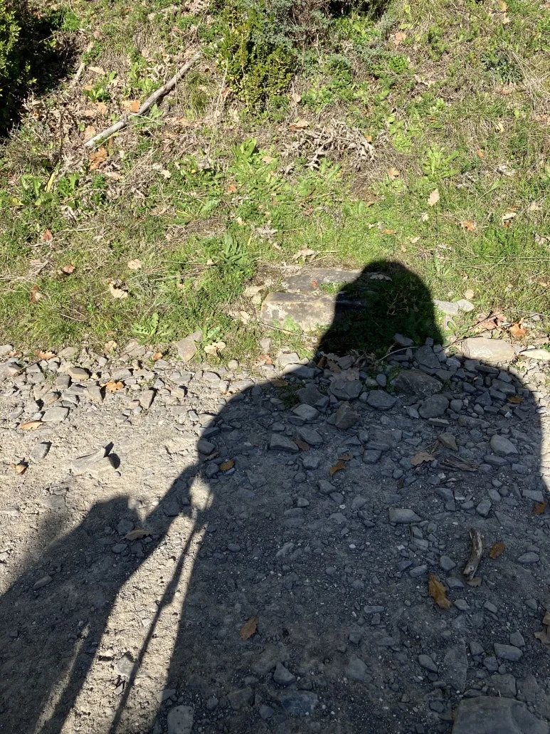 IMG_2117.jpg?type=w773