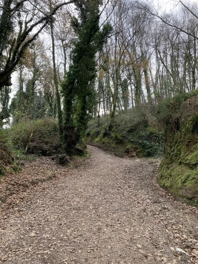 IMG_8236.jpg?type=w386