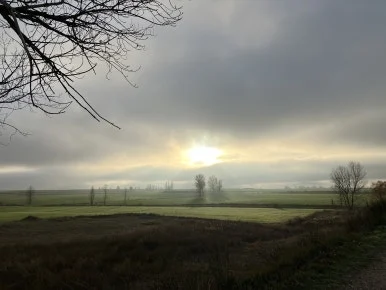 IMG_4751.jpg?type=w386