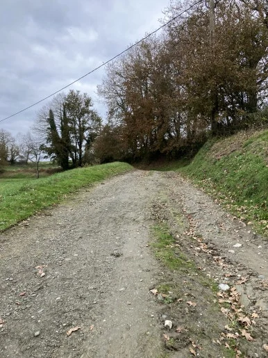 IMG_8273.jpg?type=w386