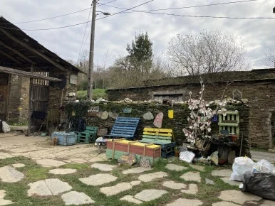 IMG_8253.jpg?type=w386