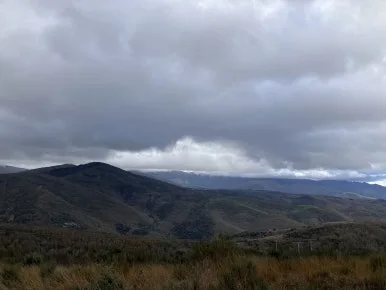 IMG_7050.jpg?type=w386