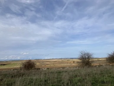 IMG_3665.jpg?type=w386