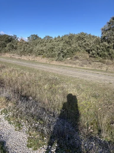 IMG_6670_2.jpg?type=w386