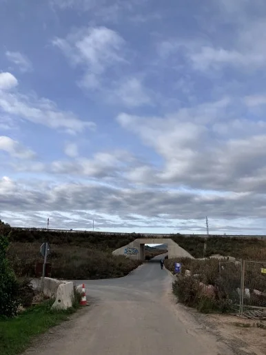 IMG_2998.jpg?type=w386