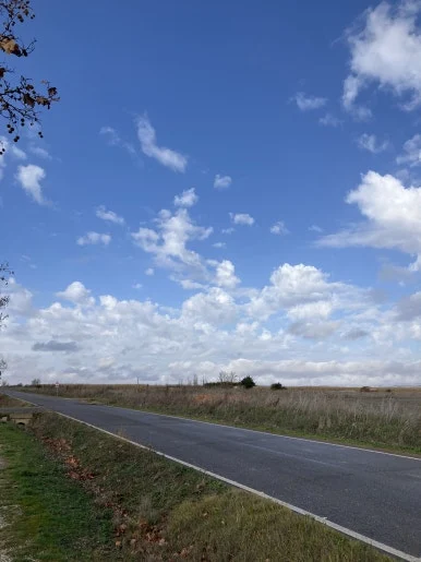 IMG_5421.jpg?type=w386